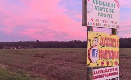 La Cueillette de Bourgthéroulde extérieur - Au rendez-vous des Normands