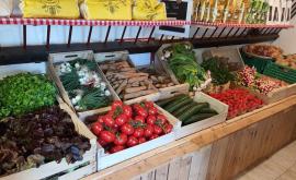 La Ferme Sainte Aubinoise boutique1 - Au rendez-vous des Normands