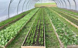 Les Champeaux culture - Au rendez-vous des Normands