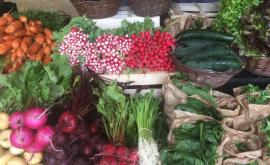 Les Champeaux légumes - Au rendez-vous des Normands