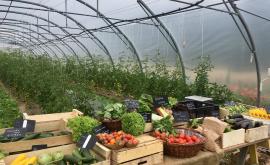 Les Champeaux vente à la ferme - Au rendez-vous des Normands