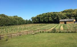 Les Fruits Rouges de l’Estuaire extérieur - Au rendez-vous des Normands