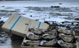 Les Parcs Saint Vaast bourriche - Au rendez-vous des Normands