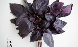 Les jardins des kami basilic pourpre - Au rendez-vous des Normands