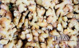 Les jardins des kami gingembre - Au rendez-vous des Normands