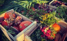 Les jardins des kami légumes  - Au rendez-vous des Normands