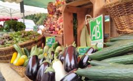 Les jardins des kami stand - Au rendez-vous des Normands
