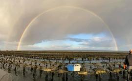 Maison Lepoivre Ostréiculture extérieur - Au rendez-vous des Normands