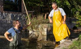 Viviers de Vatierville - Au rendez-vous des Normands