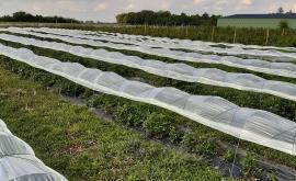 Ô P'tits Fruits d'Anne extérieur - Au rendez-vous des Normands