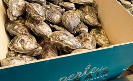 Au P'tit Mareyeur - Au rendez-vous des Normands