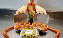 Cocotte&Co produit - Au rendez-vous des Normands