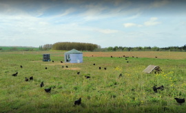 EARL Catherine - Au rendez-vous des Normands