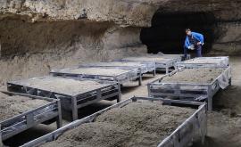 GAEC Champis en Seine - Au rendez-vous des Normands