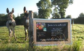 Jardin de la vieille école extérieur - Au rendez-vous des Normands