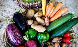 Jardin de la vieille école panier - Au rendez-vous des Normands