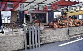 Jardin de la vieille école stand - Au rendez-vous des Normands