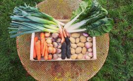 L'au-tomate légumes - Au rendez-vous des Normands