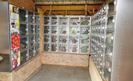 La ferme du pavé bio distributeur - Au rendez-vous des Normands