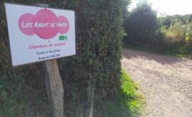 Les Radis de Vassy extérieur - Au rendez-vous des Normands