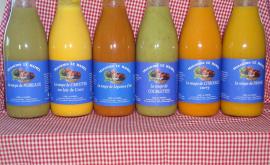 Maraicher Le Hamel soupes - Au rendez-vous des Normands