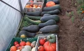 Le Temps des Saisons - Au rendez-vous des Normands