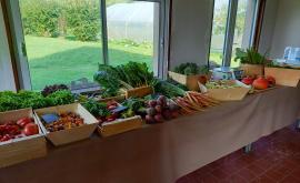 Les jardins de la vallée - Au rendez-vous des Normands