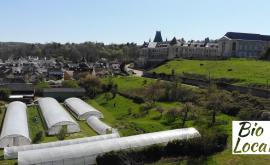 Les légumes du château extérieur - Au rendez-vous des Normands