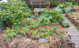 Les Cocottes Urbaines - Au Rendez Vous des Normands