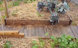 Les Cocottes Urbaines - Au Rendez Vous des Normands