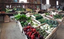 Gardin-paratgeo - Au rendez-vous des Normands