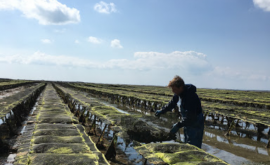 Grandin & Fils - Au rendez-vous des Normands