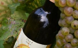 Arpents Du Soleil vin1 - Au rendez-vous des Normands