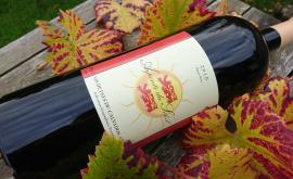 Arpents Du Soleil vin2 - Au rendez-vous des Normands