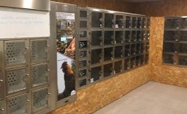 Au gré des saisons distributeur - Au rendez-vous des Normands