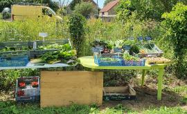 Aux jardins motelons stand - Au rendez-vous des Normands