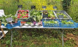 Aux jardins motelons stand1 - Au rendez-vous des Normands