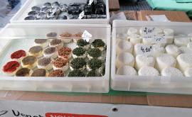 Chèvrerie du Val de Bures prduits - Au rendez-vous des Normands