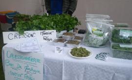 Cresson Bec De Mortagne produits - Au rendez-vous des Normands