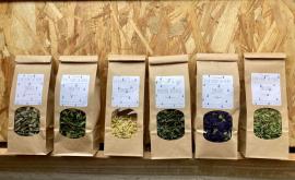 D‘où vient la pluie - Au rendez-vous des Normands