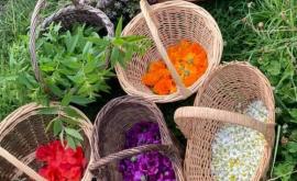 D‘où vient la pluie 1 - Au rendez-vous des Normands