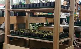 Eden Carnivore intérieur - Au rendez-vous des Normands