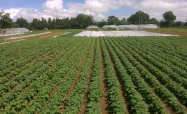La Brouette Bleue extérieur - Au rendez-vous des Normands