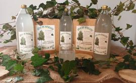 Les produits phares, notre Sève de Bouleau du Pays de Bray en bouteille et cubi.