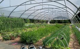 Les Jardins de la Belle Feuille extérieur - Au rendez-vous des Normands