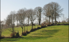 Bois Bocage Energie produits - Au rendez-vous des Normands