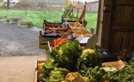 Agrimont boutique - Au rendez-vous des Normands