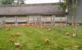 Baroche Vilain extérieur - Au rendez-vous des Normands