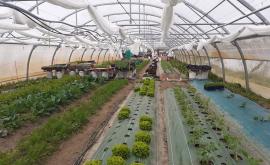 Bioswiit serre- Au rendez-vous des Normands