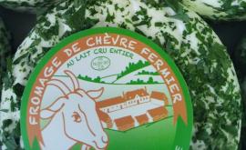 Chèvrerie du petit hautier - Au rendez-vous des Normands